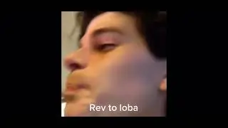 Apex legends as vines 