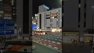 Shinjuku, Tokyo　新宿駅　東南口付近　甲州街道高架から　東南口広場　　新宿ランブリングロード　武蔵野通り　20251129　カメラ Google Pixel 5a