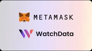 How do I change the MetaMask node provider?