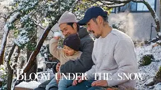 BLOOM UNDER THE SNOW /The morning light left us with true beauty / 春在一枝中 / 雪の下でただ今に咲く / OST