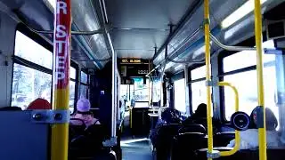 Going Through the Maple Ridge Neighborhood on the 504