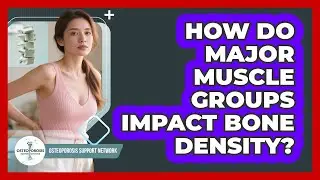 How Do Major Muscle Groups Impact Bone Density?