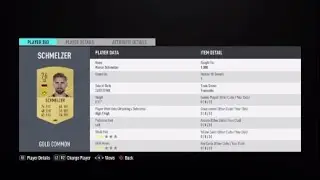 GUARANTEED PROFIT!!! FIFA 20 BORN LEGENDS SBC COMPLETED