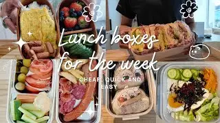 Lunch Box Series 🌸🍱| Budget Friendly lunch boxes -Sandwiches,  🌱Bibimbap, Onigiri & Bento Box Ideas