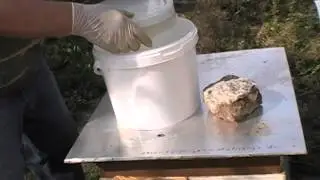 Karmienie na zimę .