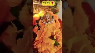 ठाकुर जी की सेवा ही सब कुछ है बोलो राधेराधे#youtubeshort #video #🌹🙏🌹#shyam #🌹🙏🌹🌿🌿☘️🌿🌿