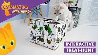 Cat Amazing SLIDERS &ndash;&nbsp;Interactive Puzzle Feeder for Cats