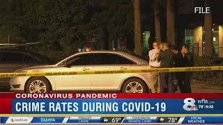 Tampa crime rate amid pandemic