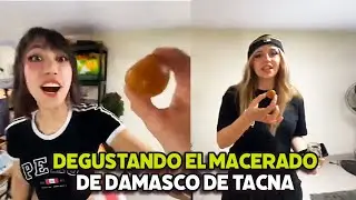 EMETSUKI, EMI Y BEPUCHO PRUEBAN EL MACERADO DE DAMASCO DE TACNA