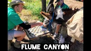 Philmont Part 11 - Flume Canyon
