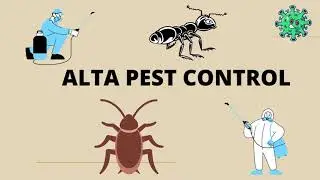 Alta Pest Control | 509-796-7940 | bed bug control