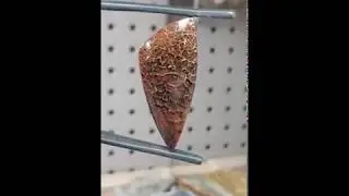 AVAILABLE @LEXXSTONES.COM! Gem Dinosaur Bone