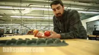 Fruit Drop Test