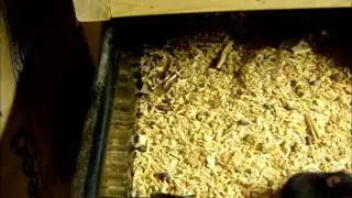Rat Shed Update