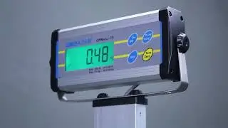 Adam Equipment CPWplus P Floor Scale from the CPWplus Bench Scales Series