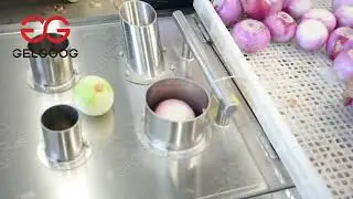 Onion Cutting Machine Price In Pakistan