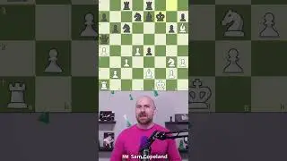 SPECTACULAR Daily Puzzle! #chess