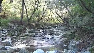 Hiking Trail Forest Road Valley Water Sound