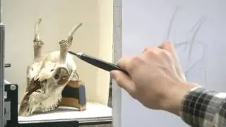 OCAD Studio: Rhythmic Drawing from Life Part 1
