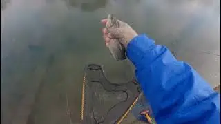 pescaria de truta no Jap&atilde;o 🎣🎣🎣