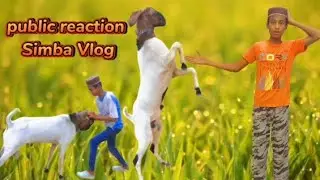 Simba Vlog public reaction#funny #video #vlog #new