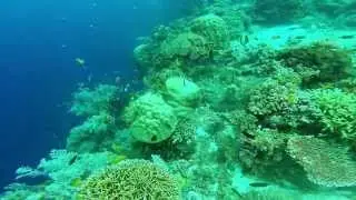DivePhilippines