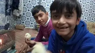 Meet our new guests 🥰. Ice cream 🍦 khany gy aaj  😍