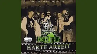 Fick das System (feat. Tinituz, Robo, Multi K, Pain, Insaine, Opti, PreStar, Pulzz, Skome,...