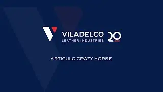ARTICULO CRAZY HORSE