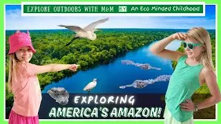 Exploring America's Amazon | The Wildest Hidden Gem in the USA | Visiting Alabama with Kids