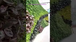 APC big green wall v5