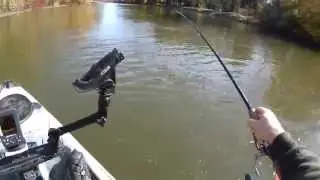 Kayak fishing steelhead on the Huron River