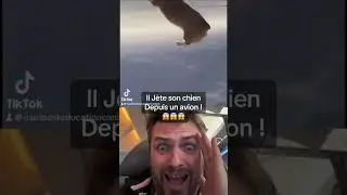Incroyable ! Il J&egrave;te son chien depuis un avion, sans parachute 😱😱😱 #chiot #humour #drole