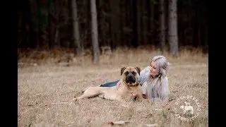 Cash's pet photography session at Kuitpo just outside Adelaide