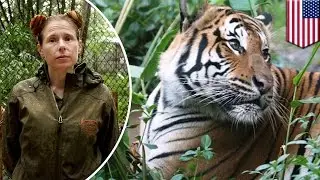 Tiger attacks and kills Palm Beach, Florida zookeeper Stacey Konwiser - TomoNews
