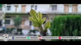 Jamia Ahrafia Imdadia Sabzal Road Quetta