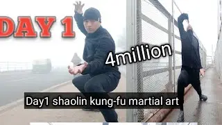 shaolin kung-fu Eroup Explainction fighting