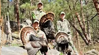 South Dakota Black Hills Turkey Hunt