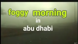 THICK FOG IN ABU DHABI