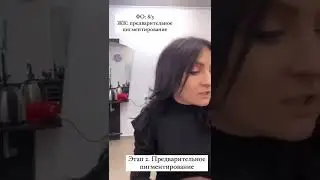 Декапирование. Предварительное пигментирование. Тонирование Воздушным коктейлем. Трейлер