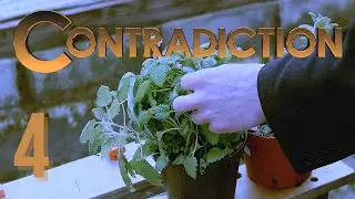 Contradiction: Spot the Liar! | Episode #4
