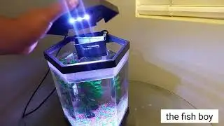 Распаковка аквариума Top Fin емкостью 2 галлона.