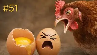 #51. Egg Peeling with Name Writing | Dinor | Calming & Satisfying
