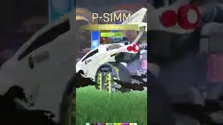All Painted Wheels 'P SIMM' Rocket League
