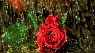 Wunderblock   Rain, Part 3