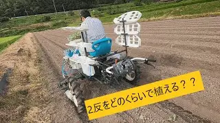 定植機（ベジライダー）でキャベツの定植をしたら、2反をあっという間に、、