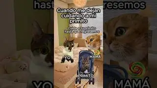 Cuando me dejan cuidando a mi primito #gatitos #humor #catstories #gatosgraciosos #storytime