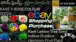 Seeds| Ordered from ebay| 9 Rose colour seeds,Table Lemon Seeds Unboxing
