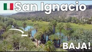 Baja's Oasis town Gem (Ep. 26)