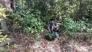 เข้าป่าเขตปลอดภัยกระทิง/ເຂົ້າປ່າເຂດປອດໄພກະທິງ
